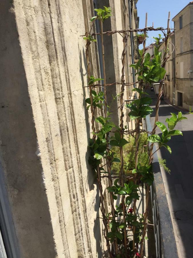 Chez Noelle Et Emmanuel Διαμέρισμα Μονπελιέ Εξωτερικό φωτογραφία